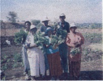 Progetto People’s Dialogue On Land And Shelter