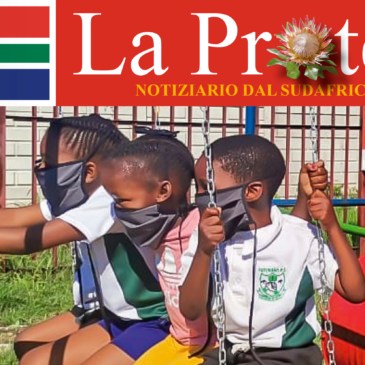 La Protea 2020